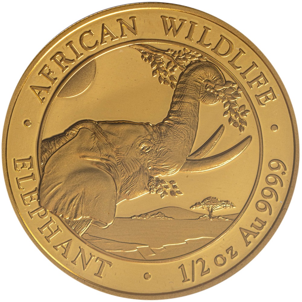 2023 Somalia Gold Elephant First Struck 6-Coin Collection - Image 2