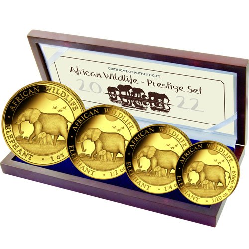 Somalia Gold Elephant African Wildli